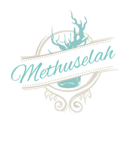methuselah_transparent_light